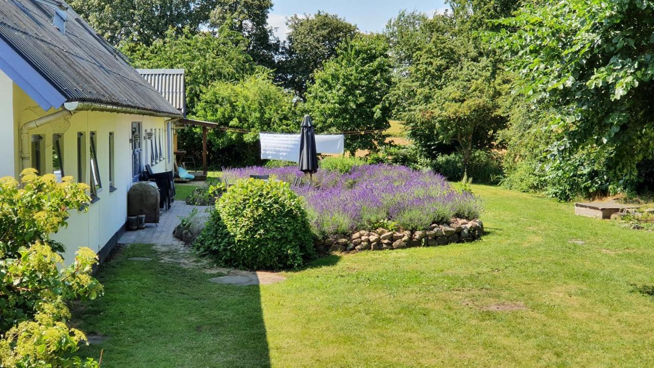 Villa Rolso Retreat Knebel Exterior foto